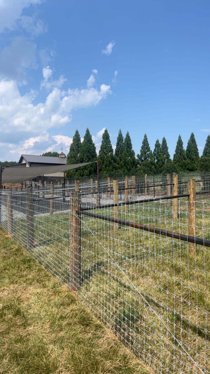 Fence Repair